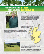 Farm Woodland Case Studies: St Fort